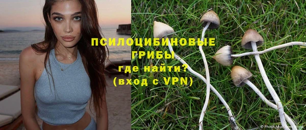 гашиш Абаза