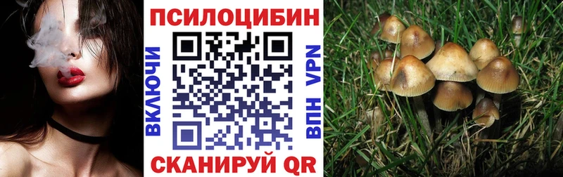 Галлюциногенные грибы MAGIC MUSHROOMS  Рыльск 